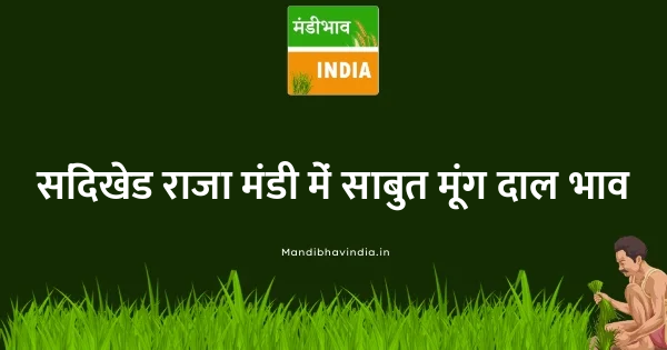 Green Gram (Moong)(Whole) भाव